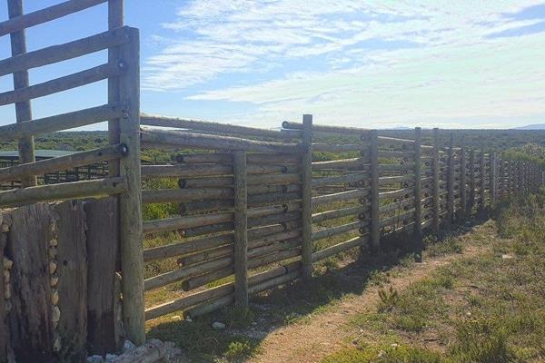 This newly developed Buffalo farm is now available for the one who wants to escape from the busy city life and own his own farm ...