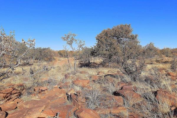 Enjoy 180&#176; North facing bushveld views and sunrises from over endless rolling mountains from this 1ha serviced stand in Sable ...