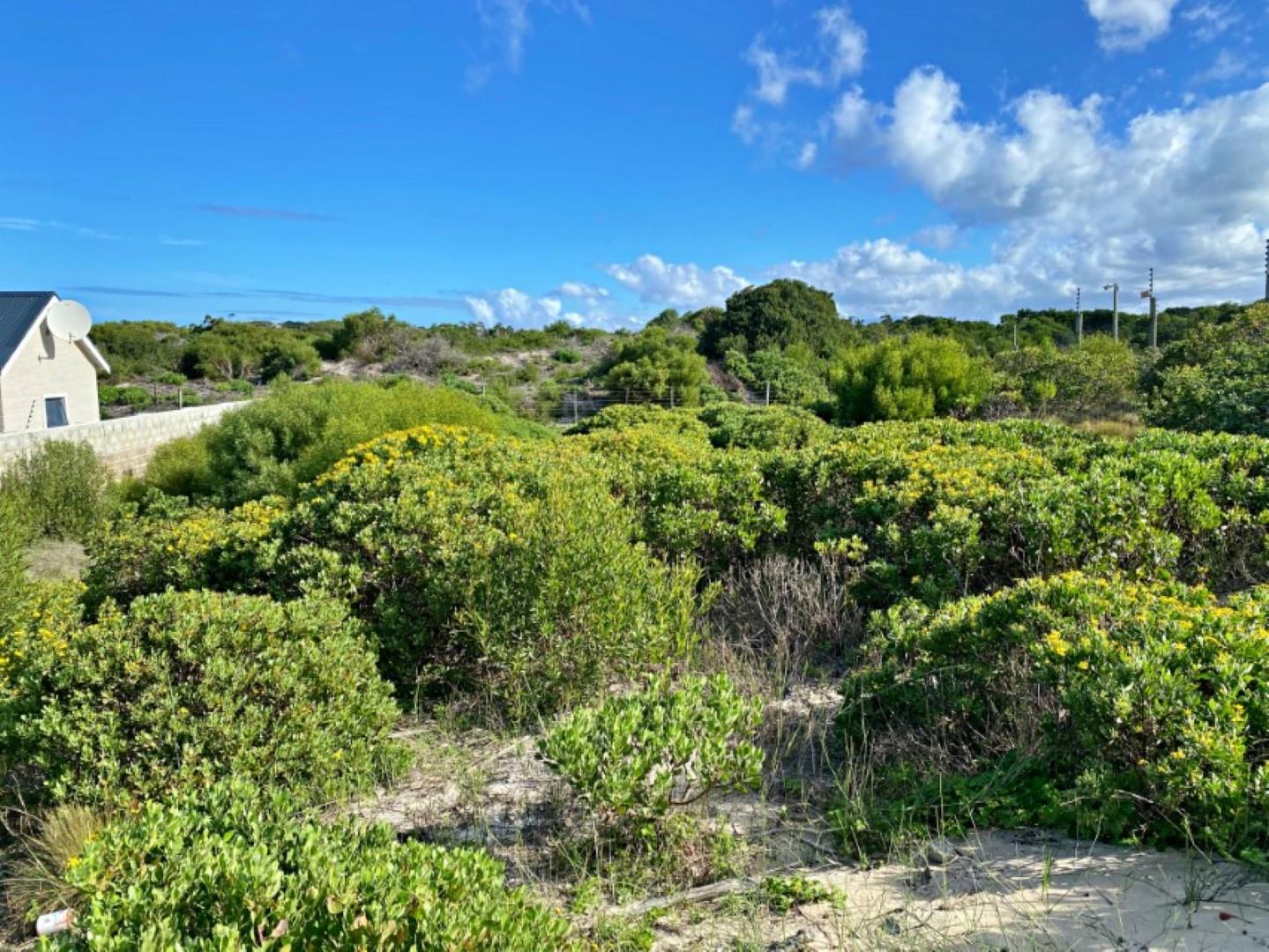 Vacant land / plots for sale in Hermanus Hermanus Property