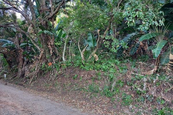 This piece of land is on a slope and needs to be cleared. The sea views are spectacular and can not be compromised. They will be better ...