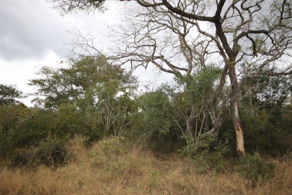 Moditlo is a 3200ha private game reserve within the Blue Canyon Game Conservancy. Owners ...