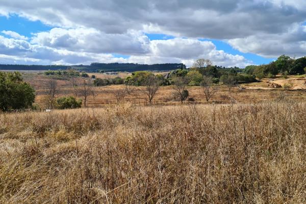 1 Hectare stands available in prime development just 10 kilometers from White River on the R40, Hazyview Road. Ideal for people who ...