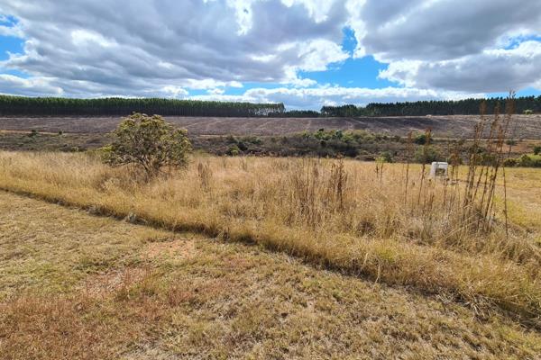 One of five (5) 1 hectare stands available in secure estate in farm Klipkopje; just 10 kilometers from White River on the R40, Hazyview ...