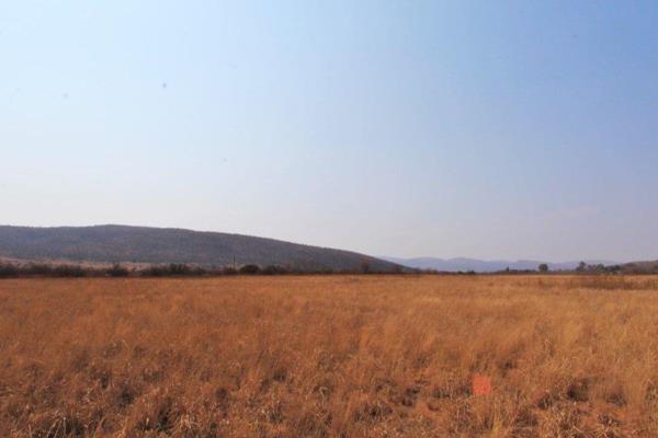 22.229 ha plot in the heart of the bushveld!
This 22.2299 Ha plot is an untouched gem in the heart of the bushveld.
A blank canvass ...