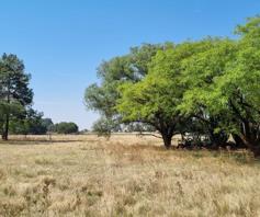 Farm for sale in Cilvale AH