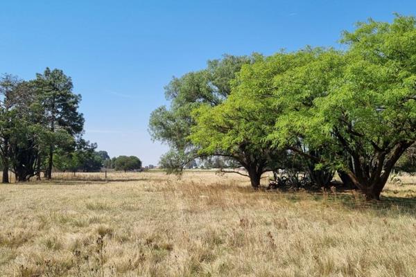 Vacant land situated in the CILVALE AREA on a main road towards the R21 Highway towards Kempton Park and Pretoria .
This land is not ...