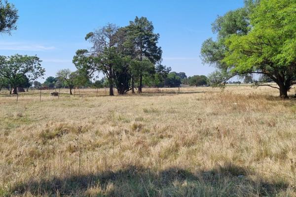 4 HA Vacant land situated in the CILVALE AREA on a main road towards the R21 Highway, Kempton Park and Pretoria .Good for business ...