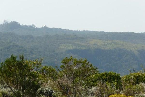 Build your dream home.  Pezula Private Estate is a spectacular combination of dramatic cliffs, sheltered beaches, magical lagoon views ...