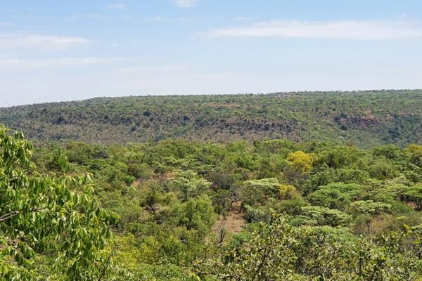 Invest in your own full title bushveld stand at nylsoog wild &amp; echo estate near bela bela!!
Approximately 1100Ha Nature Estate ...