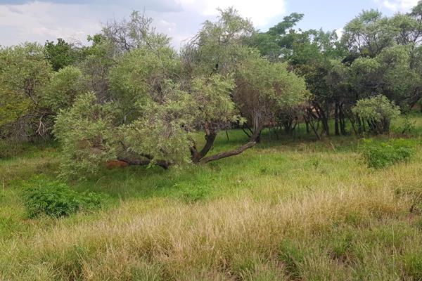 Build your dream home in Rockcliff Estate . . .
Beautiful mountain views to see, ability to walk next to streams!

All residents have ...