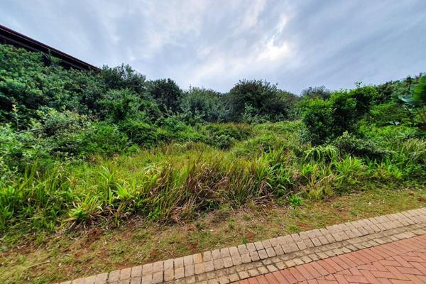 Exclusive Vacant Land Offering in Prestigious Zimbali Estate

Nestled in the heart of ...