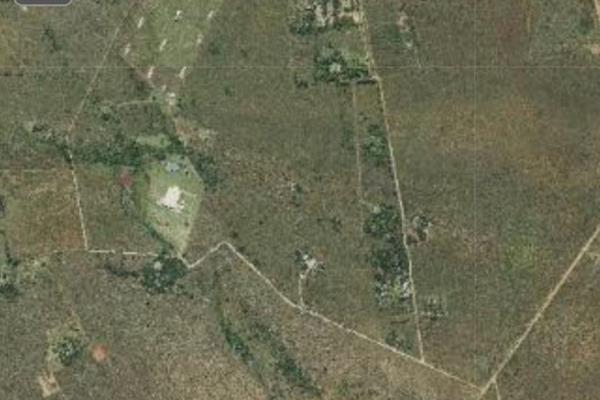 Smallholding in knopjeslaagte
Vacant Plot in Knopjeslaagte merely 1 km from the main road. This is 8.5 ha of vacant land. Interested ...