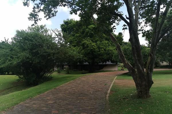 Beautiful 6,6 Ha for sale in Hekpoort bordering the Magalies river.
Entrance paved and ...