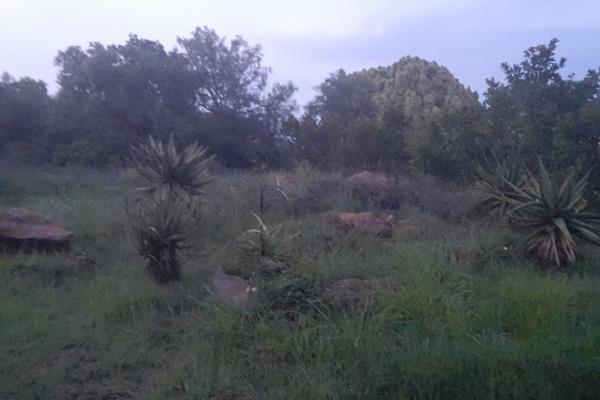 Plot in the Bushveld of Hartebeesthoek close to amenities and new developments. 
View to prevent dissapointment and build your dream ...