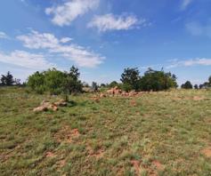 Vacant Land / Plot for sale in Miravaal