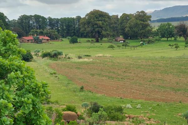 This 470 ha Stud Farm has a lot of potential with over and enough Water and 51 ha Crops

The Farm is sold as a going concern which ...