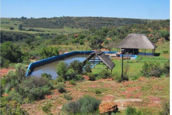 Up and running business!  75min from Johannesburg/Pretoria/O R Tambo Airport 

Welcome to a hidden part of South Africa, one of the ...