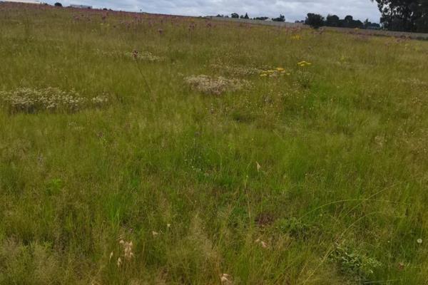 Calling all developers and buyers.  
This is  the perfect opportunity to invest and definitely value for your money . 
The vacant land  ...