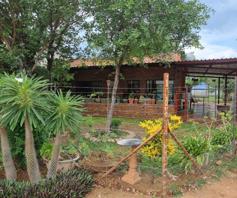 Farm for sale in Musina Rural