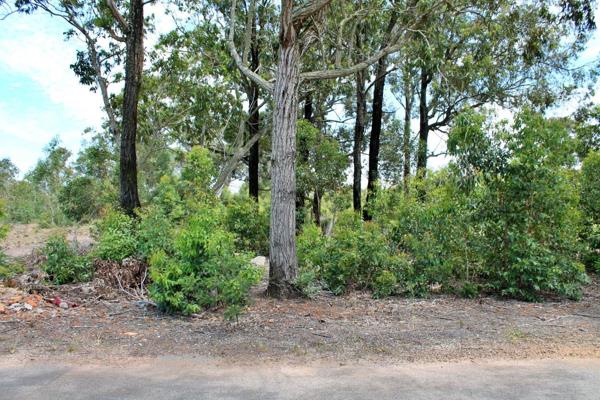 Beautiful, flat 2.1 Hectares of vacant land within easy access of the N2 and Greenbushes ...