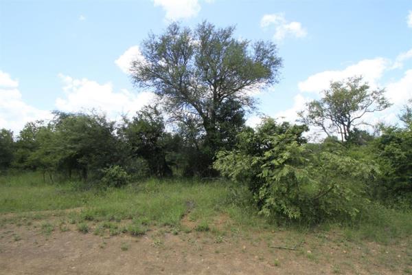 Good River stand in Hoedspruit farm.  

This stand has a slight downward slope that will ...