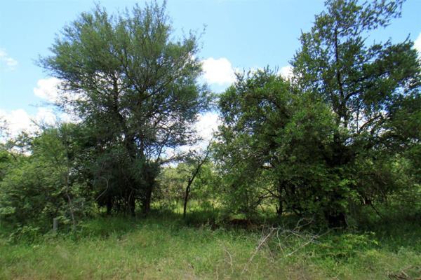 River stand in Hoedspruit farm.  

This stand is well positioned with no stands on the ...