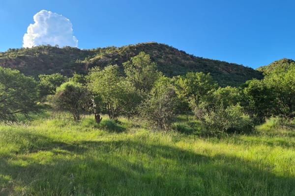 A well developed guest lodge situated in the world Unesco heritage dome area close to Parys . This small farm is enclosed with ...