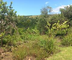 Vacant Land / Plot for sale in Haga Haga