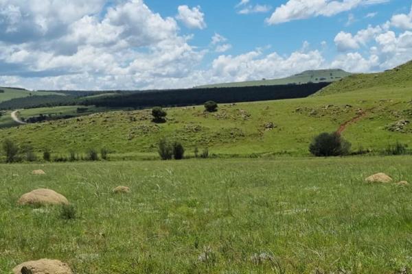 This grazing farm is situated a mere 39km from Vryheid towards Utrecht, this price is inclusive of VAT.

The farm is divided into 2  ...