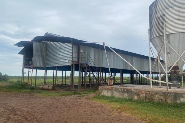 First World Egg Production Unit.
 
Chicken pens for  107 000 Egg Laying Hens.
A sideline of beef &amp; pecan nuts.
Chicken litter can ...