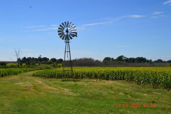 This 43 ha property  consist of the following:

Outbuildings: Pig sty, function hall, work station, open storage facility and 4 x ...