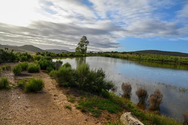 This farm is in the world renowned Meirings Poort, only 4 km from De Rust and offers a ...