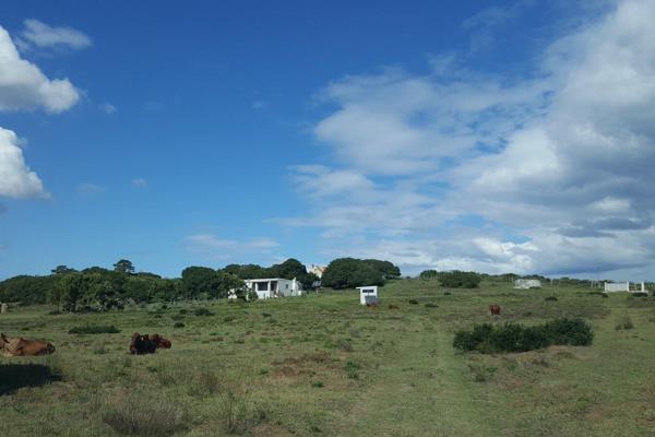 1294 Ha Duine grond in die bekende Blombos omgewing in die hartland van die beesboerdery streek van Riversdal distrik.

Hierdie plaas ...