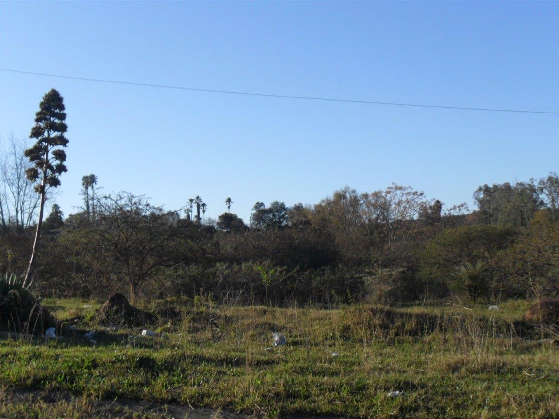 Vacant land / plots for sale in King Williams Town King Williams Town