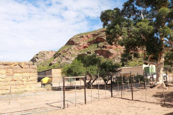 This 109.8 Ha property is situated between Oudtshoorn and De Rust. This area receives more water than most of the areas in the Oudtshoorn district and has good deep fertile soil. The well-known Meirings Poort and Stomdrift dam are nearby.

The property has water from the ...