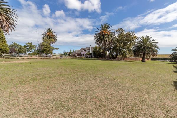 This is a fantastic property. It is situated midway between Stellenbosch and Somerset West, which speaks to its location as one of the ...