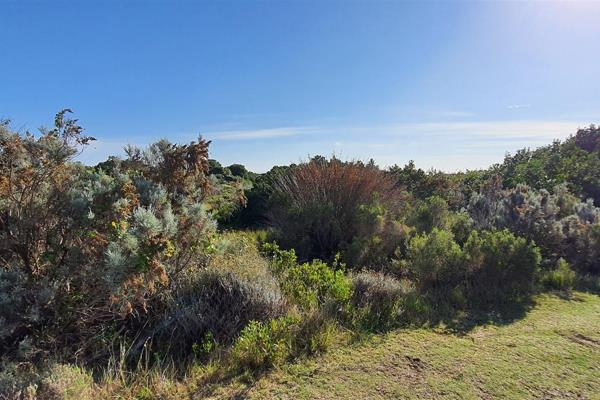 For the secluded home, sheltered from prying eyes, this stand will be first prize. ...