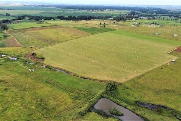 This 22-hectare land is ideal for agriculture, it is fully fenced with bore hole and stream running through the middle.

Don&#39;t ...