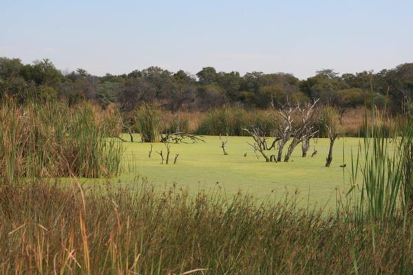 Something special in Dinokeng where your next door neighbours will be the Big 5 and ...