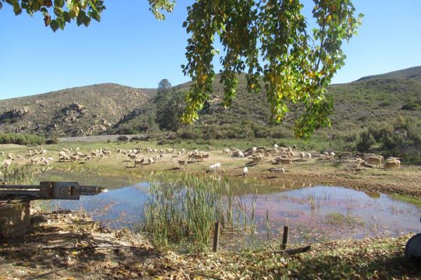 A 2240ha farm situated in the Western Cape near Uniondale. This property is situated close to town with some open flat irrigation lands ...