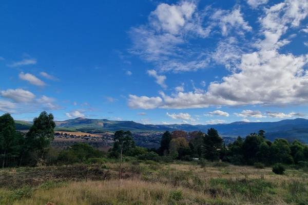 This secluded 1 Ha farm situated close to the Graskop road. It offers spectacular mountain views and that of the town of ...