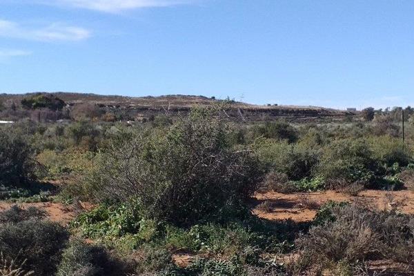 Discover a rare gem on the outskirts of Loxton—a beautiful +3-hectare plot perfect for ...