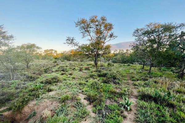 VACANT LAND IN RIEBEEK EAST - R350 000
Build your dream home in Riebeek-East, a mere 39 km&#39;s from Grahamstown and is surrounded by ...