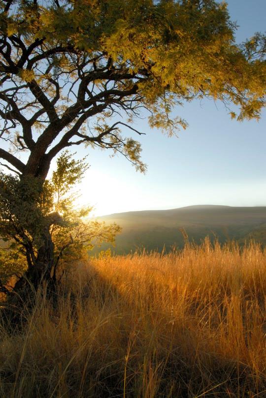 Vacant land / plot for sale in Intaba Ridge Secure Eco Estate - P24 ...