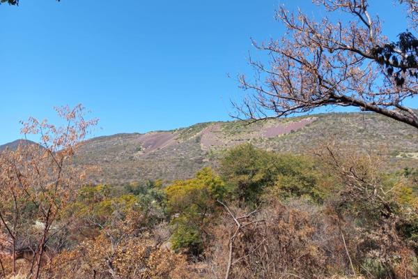 Large vacant residential stand of 2472m&#178; available in Thabazimbi with a beautiful mountain view.
Contact Yolandie Webster for more ...