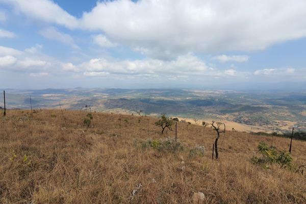 This property offers breathe taking views and an opportunity for Macadamia farming with an estimate of 5HA for this purpose. Borehole ...