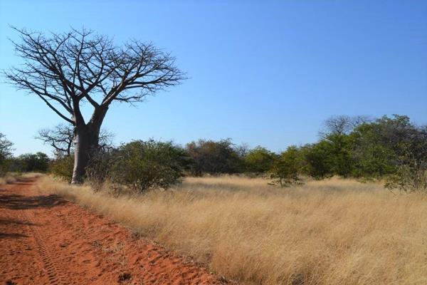 This undiscovered gem is famous for the gigantic Baobab trees and well-developed infrastructure.
Wildlife includes eland, giraffe ...