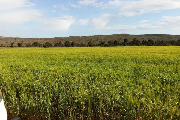 Situated only 21 km from Riversdale, this 43 Ha farm is a safe farming/lifestyle property. The infrastructure on the farm consists ...