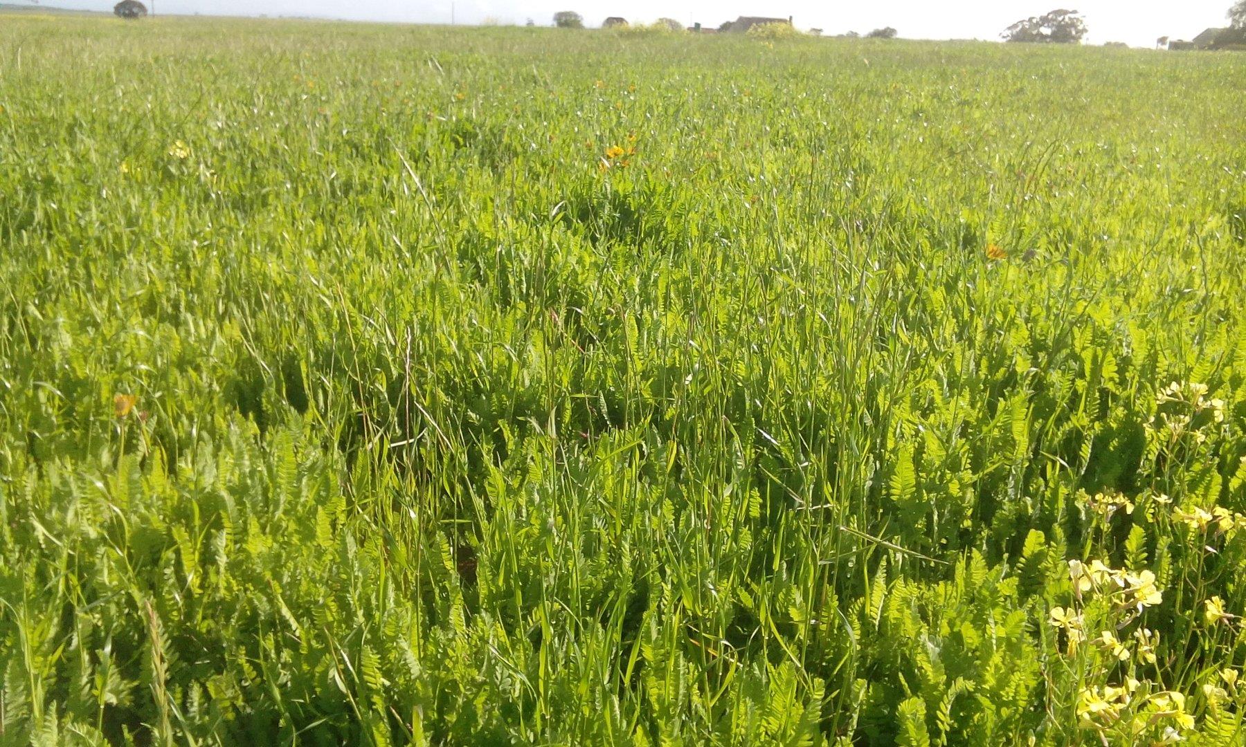 Photo of Farm for sale in Riversdale Rural