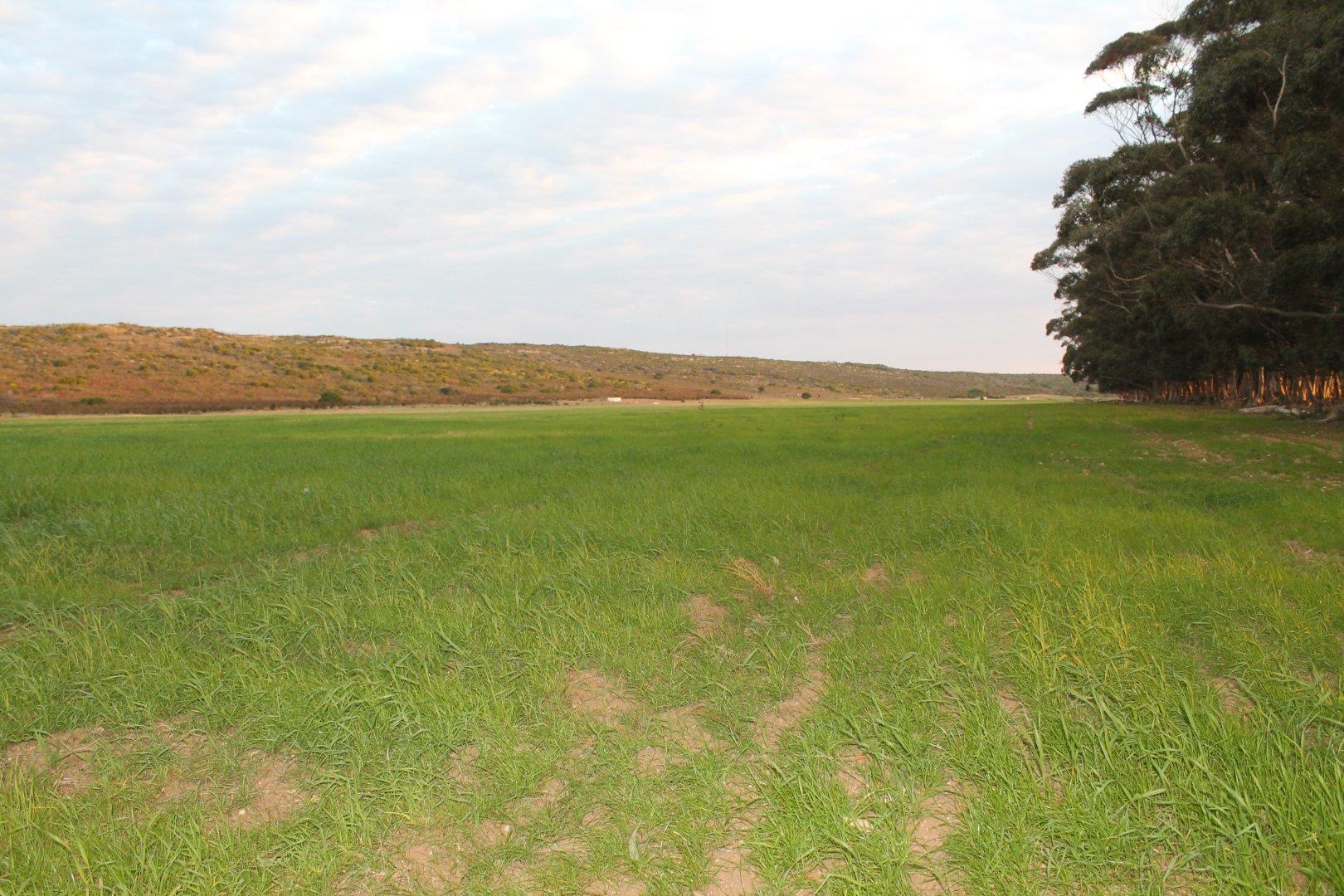 Photo of Farm for sale in Riversdale Rural